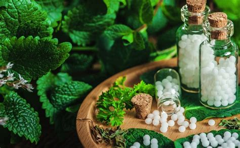 World Homoeopathy Day Ayush Ministry To Host Scientific