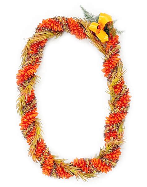 Cigar And Kukunaokala Twist Lei Hawaii Flower Lei