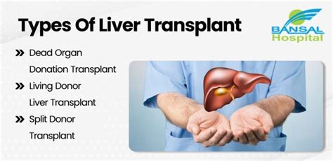 Liver Transplant Criteria Treatment And Recovery Bansal Hospital