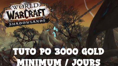 WORLD OF WARCRAFT TUTO 3000 PO MINIMUM PAR JOURS YouTube