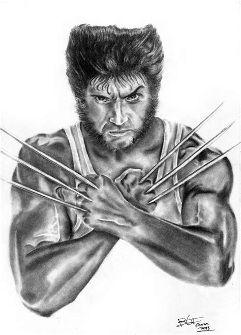 Pencil Drawing Of Wolverine At Explore Collection