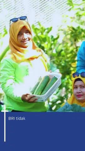 Brinita Menghijaukan Kota Dengan Urban Farming Menciptakan Lingkungan