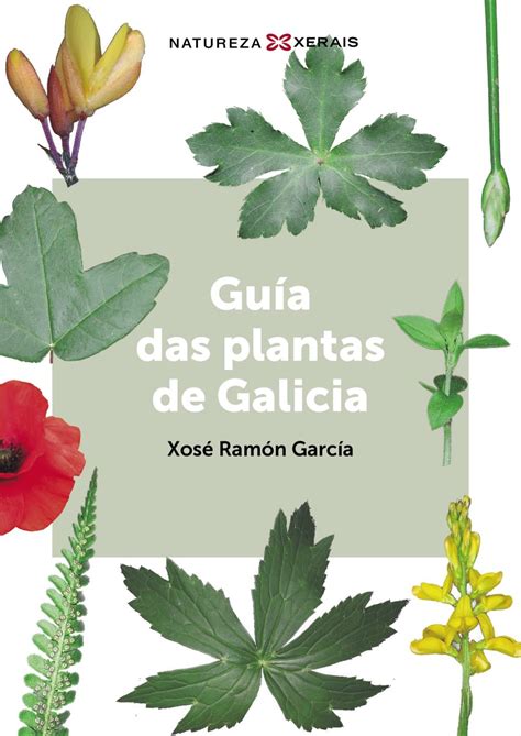 Guía das plantas de Galicia TURISMO OCIO MONTES E FONTES Guías