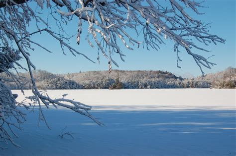 Presque Isle Wi Presque Isle Lake Scene In Winter Photo Picture