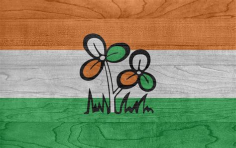 Download All-india-trinamool-congress Flag (PDF, PNG, JPG, GIF, WebP)