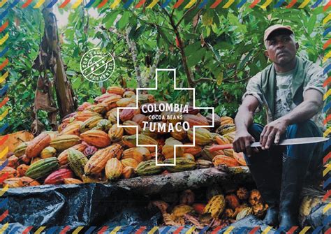 Tumaco - Colombia – Cocoa Hub