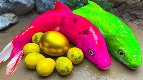 Exotic Spotted Fish Magnet Cooking ASMR Koi Fish Hunting Pink Catfish