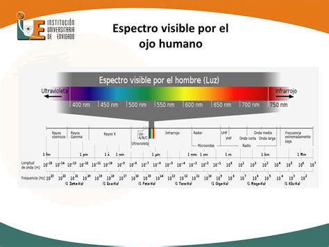 Leer Plano Roble Espectro Visible Para El Ojo Humano Ignorar Grueso