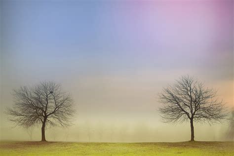 Discover 7 Abstract Landscape Photography Art Examples - Angela Cameron