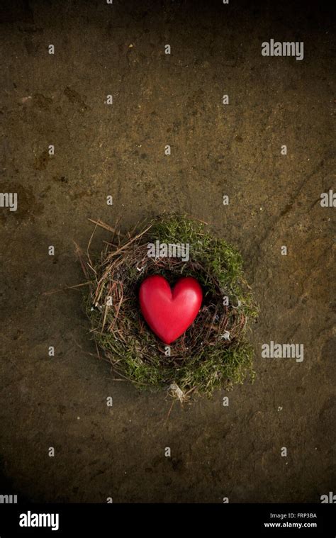 Red Wooden Heart Shape In Bird Nest Stock Photo Alamy