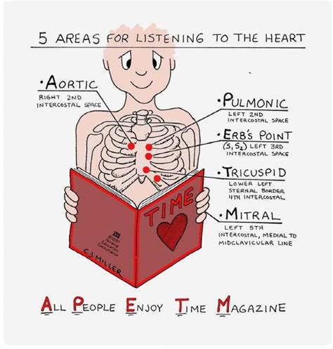 Heart sounds - Overall Science