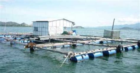 Malaysia, WorldFish Establish Committee to Promote Sustainable ...