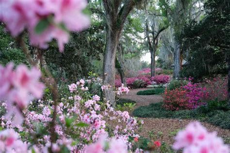 6 Best Florida Gardens To See Spring Flowers