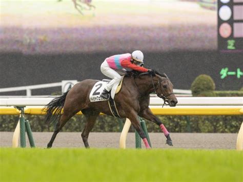 【メイクデビュー東京5rレース後コメント】ペイシャフェリシテ武士沢友治騎手ら 競馬ニュース