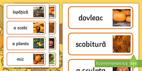 Descoperim Dovlecii Cartona E Cu Vocabular Twinkl