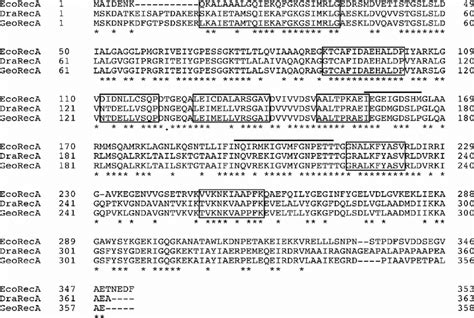 Multiple Amino Acid Sequence Alignment Of Ecoreca Drareca And Georeca