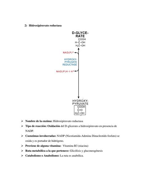 Solution Clasificaci N De Enzimas En Bioquimica Ii Studypool