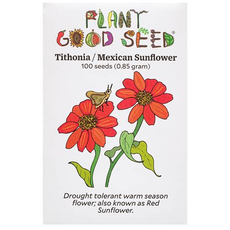 Tithonia / Mexican Sunflower Seeds - Walmart.com