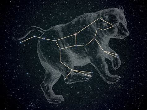 Constelação de Ursa Maior | Seiya Universe Wiki | Fandom