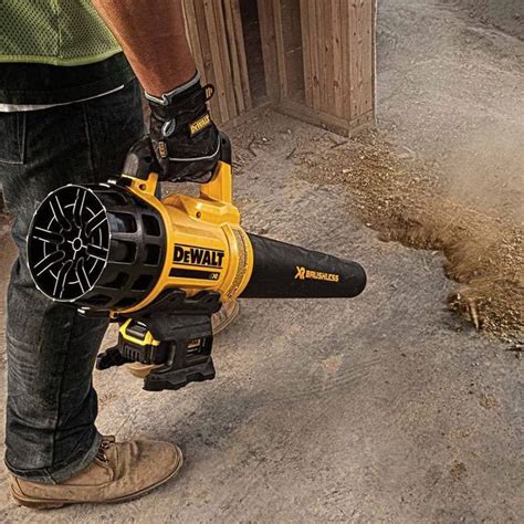 Souffleur De Feuilles V Brushless Dewalt Dcm Pb Qw