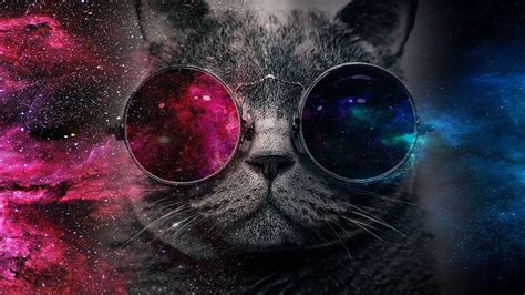 Galaxy Cat Wallpapers - Top Free Galaxy Cat Backgrounds - WallpaperAccess