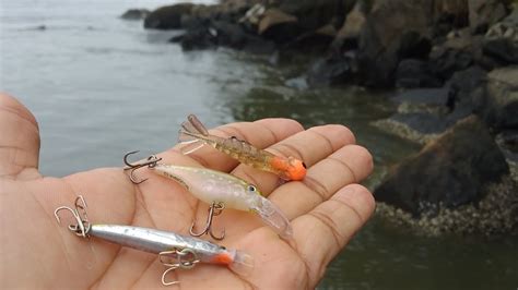 PESCARIA MICRO ISCAS NAS PEDRAS DA PRAIA FOI A VAZANTE COMEÇAR