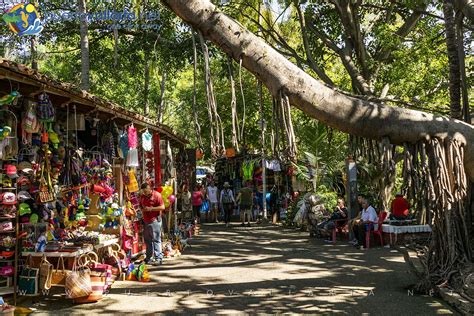 New Mural Brightens Up Puerto Vallarta S R O Cuale Market