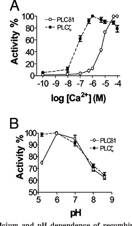 Figure From Role Of Phospholipase C Cid Domains In Ca Cid