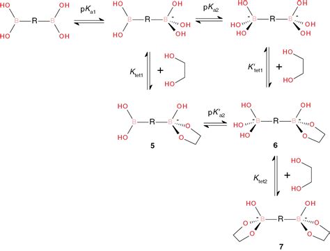 Anion And Sugar Recognition By Pyridinedicarboxamide Bis Boronic