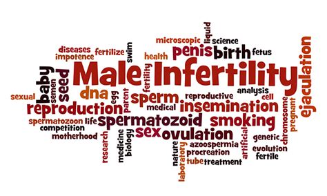 Causes Of Male Infertility Dr Batras