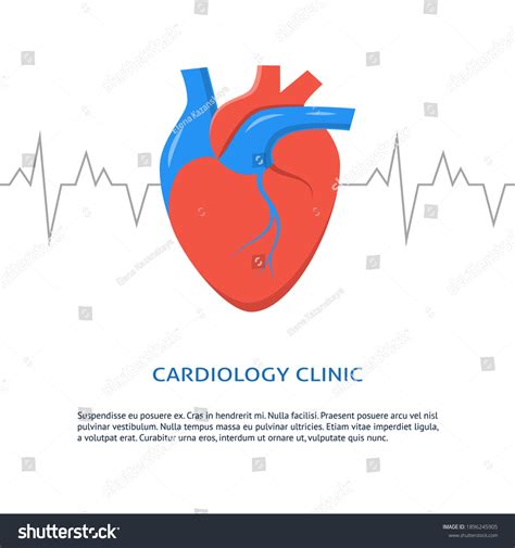 Cardiology Clinic Banner Place Text Medical Stock Vector Royalty Free