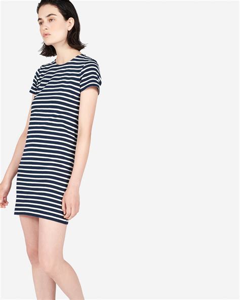 The Gia Mini Dress White Navy Stripe Everlane