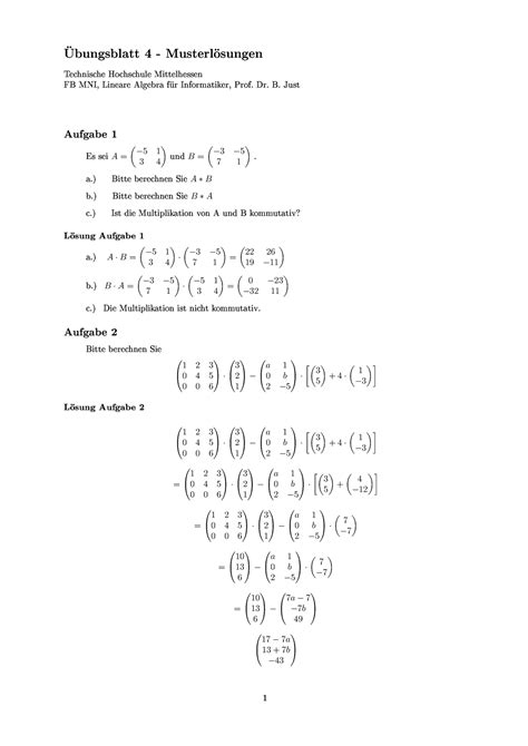 Bungsblatt Lineare Algebra Musterl Sung S Tt St R S S