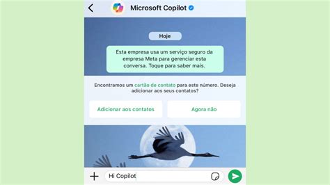 Copilot IA Da Microsoft Chega Ao WhatsApp Saiba Como Usar