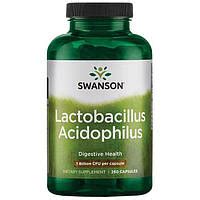 Lactobacillus acidophilus | Сравнить цены и купить на Prom.ua