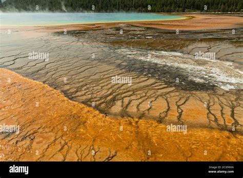 Colorful Cyanobacteria Mats Surround The Grand Prismatic Spring The