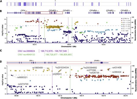 Fine Mapping Of The Cfh Cfhr Locus By Gwas A Known Variants Reported