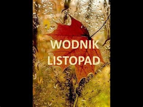 Tarot Wodnik Listopad Youtube