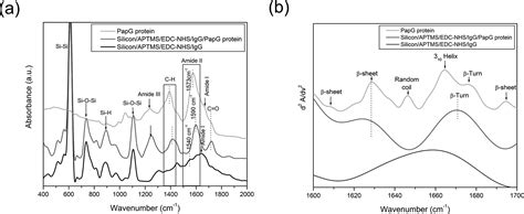 Specific Detection Of Uropathogenic Escherichia Coli Via Fourier Transform Infrared Spectroscopy