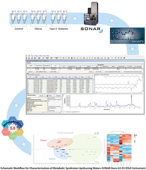 Characterization Of Metabolic Syndrome Lipids Using Simlipid Software