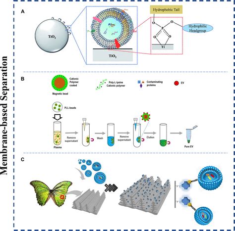 Exosome Isolation