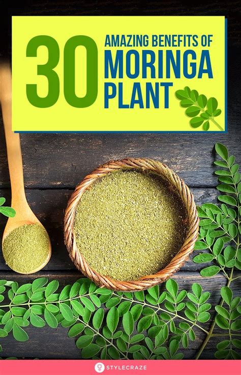 Benefits Of Moringa Leaves Plant Benefits Tea Health Benefits