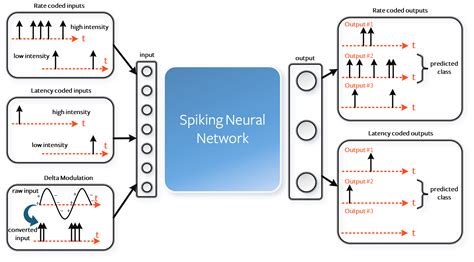 Training Spiking Neural Networks Using Lessons From Deep Learning Deepai