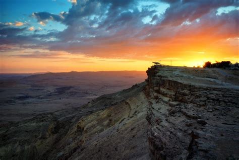 Israel's Desert Agriculture - Tourist Israel