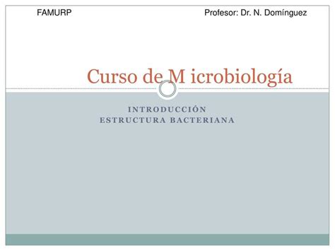 Estructura Bacteriana Metotrexato Post Udocz