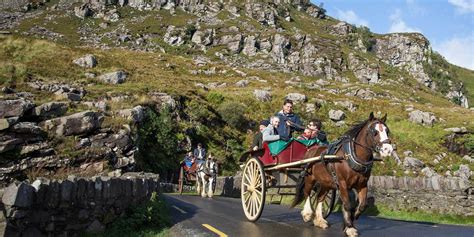 Jaunting Car Tours In Killarney Flightlink Recommendations