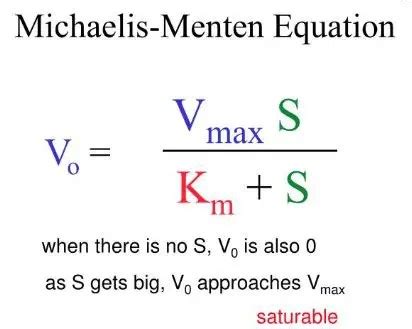 Derivation Of The Michaelis Menten Equation Microbiology Study