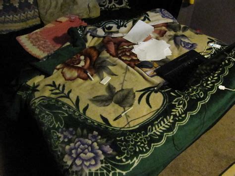 My Bbw Pussy Porn Pictures XXX Photos Sex Images 140739 PICTOA