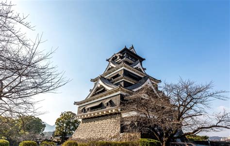 Wallpaper the sky, trees, Japan, Kumamoto, shrubs, Kumamoto castle images for desktop, section ...