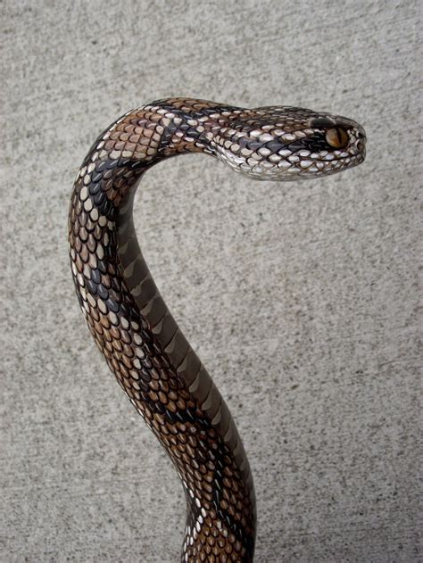 Wood Carved Rattlesnake Walking Cane Etsy